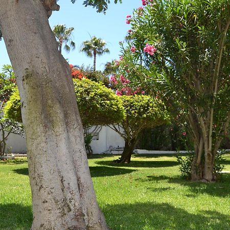 Apartamentos Don Quijote Playa del Ingles  Ngoại thất bức ảnh